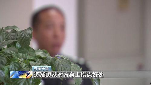 吃瓜蒙主间谍身份解析 黄瓜c,吃瓜蒙主间谍身份之谜